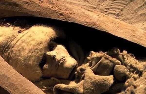 ¥��Ůʬ��ò��ԭͼƬ ¥��Ůʬ������ò����