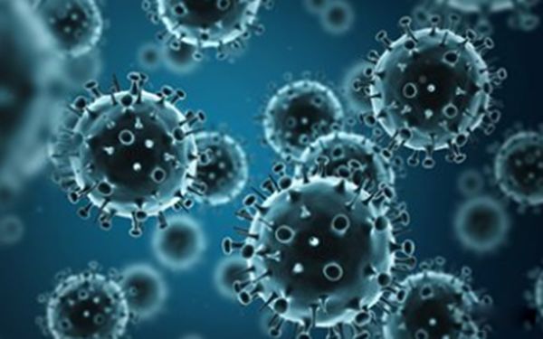 ������ʲô��˼��������ϸ�� ���е�Σ����Ԥ��֪ʶ