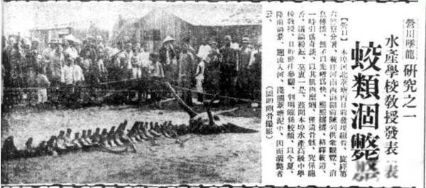 Ӫ��׹���¼����������Ǽ� ��׹���������ʧ