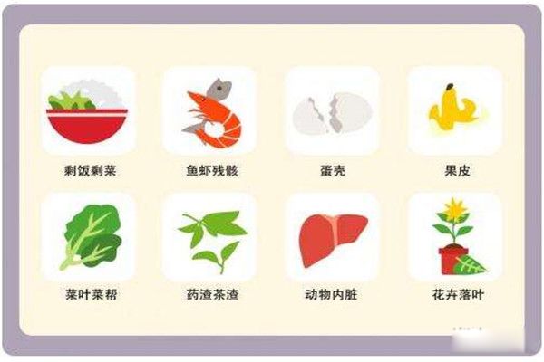 猪能吃的是湿垃圾,猪不能吃的是干垃圾 垃圾分类口诀猪能吃的