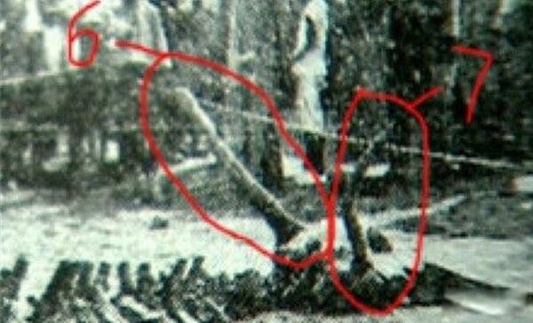 Ӫ��׹���¼����������Ǽ� ��׹���������ʧ