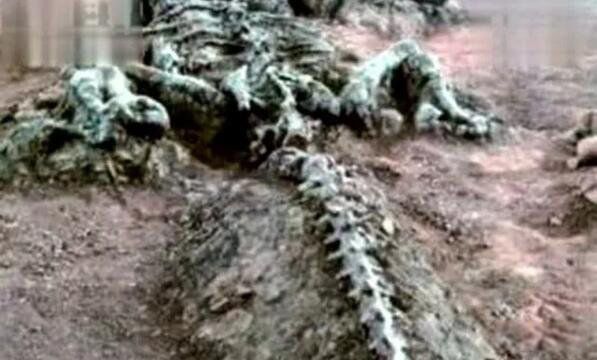 Ӫ��׹���¼����������Ǽ� ��׹���������ʧ