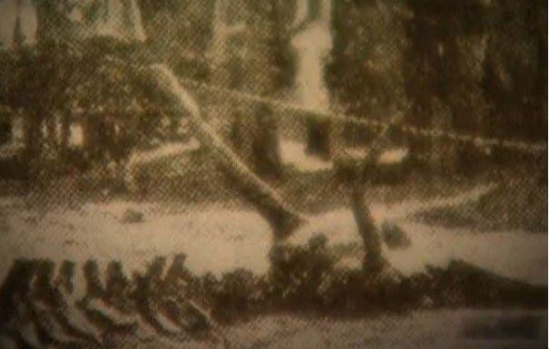 Ӫ��׹���¼����������Ǽ� ��׹���������ʧ