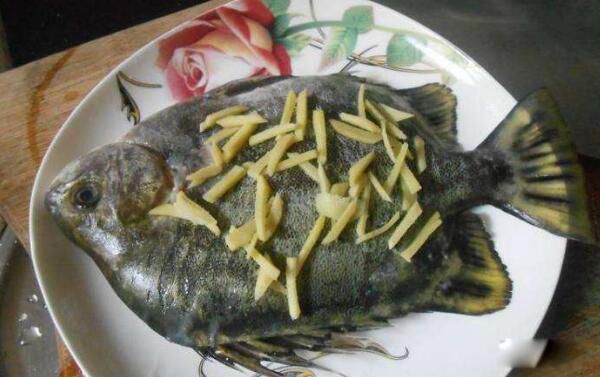 ��������Ǯһ�� ���޽�����ܳ����