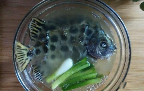 ��������Ǯһ�� ���޽�����ܳ����