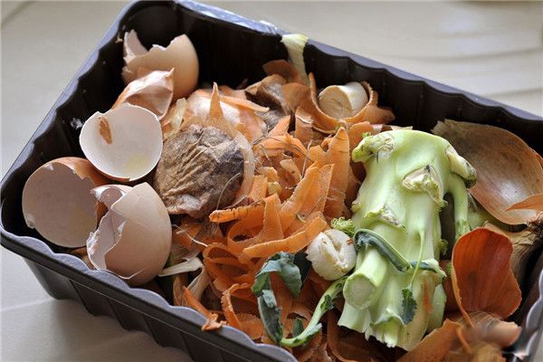 ���ܳԵ���ʪ����,�����ܳԵ��Ǹ����� ��������ھ����ܳԵ�