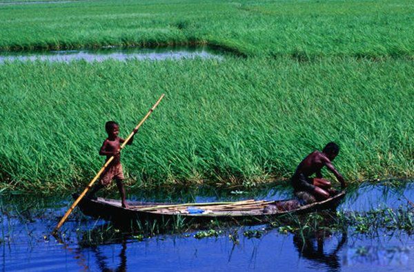 ȥ�ϼ���������ô���� ȥ�ϼ�����Ҫע��ʲô