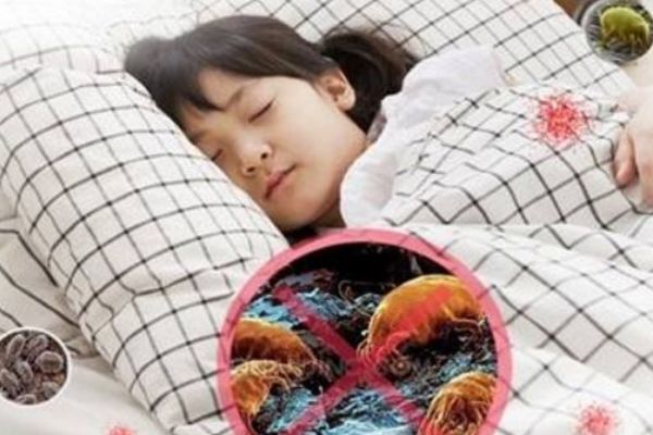 ������������ô����ȥ�� ���ϳ���������Ч����