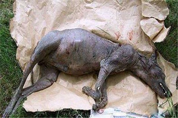 ���Ե�������������Щ ���������ȹ������߳�������