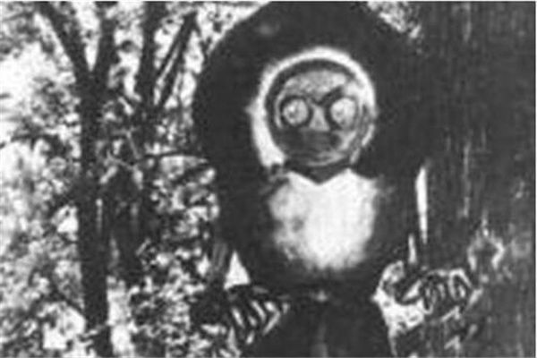 ���Ե�������������Щ ���������ȹ������߳�������