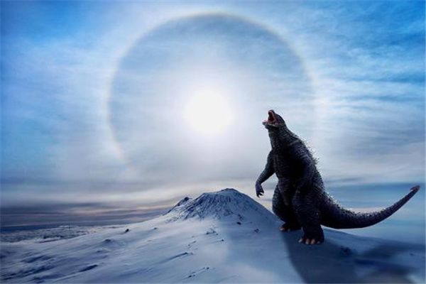 ���Ե�������������Щ ���������ȹ������߳�������