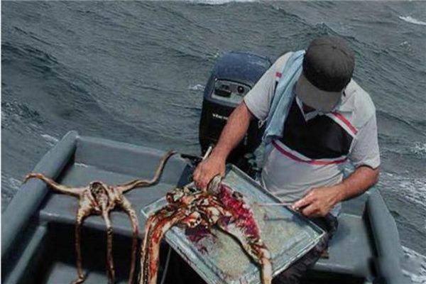 ���Ե�������������Щ ���������ȹ������߳�������