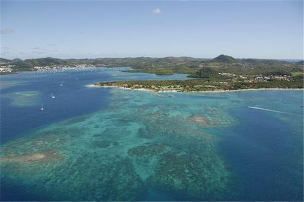 ������˵���Ŀ��Գ����� ������˵�Ϊʲô�����˳���