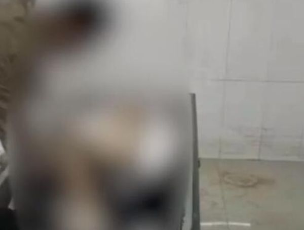 ����̫ƽ��˫�۱����¼� ̫ƽ������˫�۱����¼�����