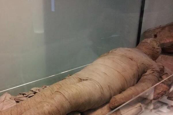 ľ��������ô�γɵ� ��Ԫǰ3400�꿪ʼ��ľ����