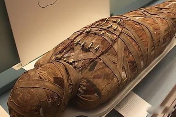 ľ��������ô�γɵ� ��Ԫǰ3400�꿪ʼ��ľ����