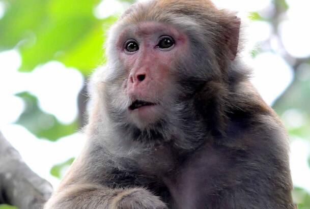 ��Ժ��ԵĲ��ҳ���Ҳ��̶� ��ʵ��Ժ��Թ���̫�����˰�