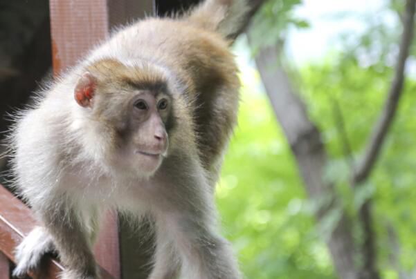 ��Ժ��ԵĲ��ҳ���Ҳ��̶� ��ʵ��Ժ��Թ���̫�����˰�