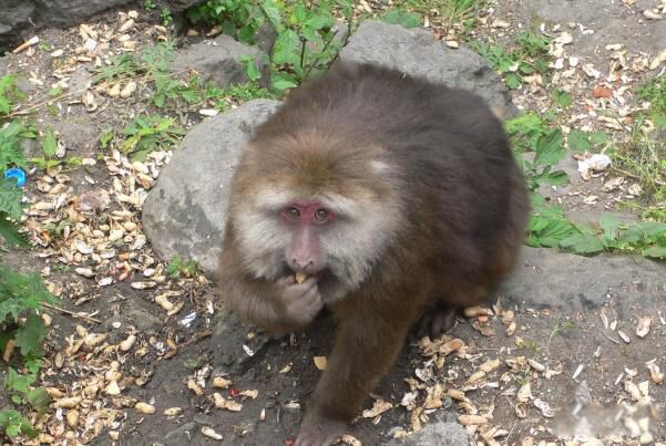 ��Ժ��ԵĲ��ҳ���Ҳ��̶� ��ʵ��Ժ��Թ���̫�����˰�