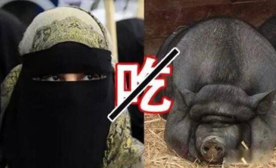 ��˹�ֲ��������ԭ������ ����˹���̽���涨��