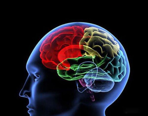 ʮ���꺢�����̵͵�ʮ�ֱ��� ���̵�����Щ����