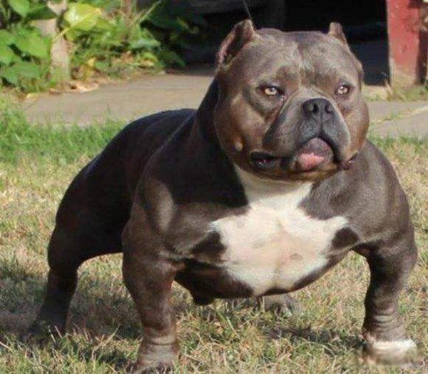 �������Ȯ�ǽ���Ȯ�� �������Ȯ�ײ������̶��