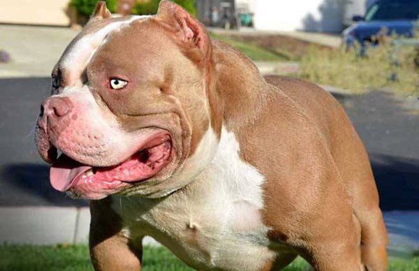 �������Ȯ�ǽ���Ȯ�� �������Ȯ�ײ������̶��