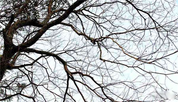 �����Ǽ��� ����ʱ����ɶʱ��