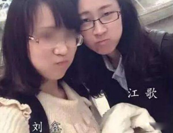 ���ν��谸�ӵľ������ ���谸��������ȥ��