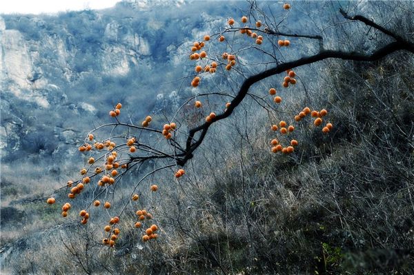 �����Ǽ��� ����ʱ����ɶʱ��