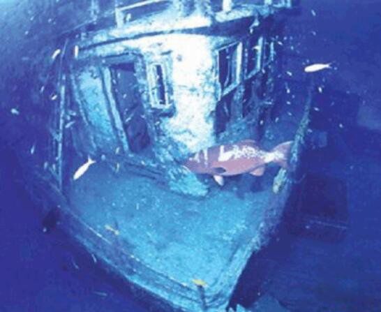 ��������303Ǳͧ������ Ǳͧ303�¼�������ʲô