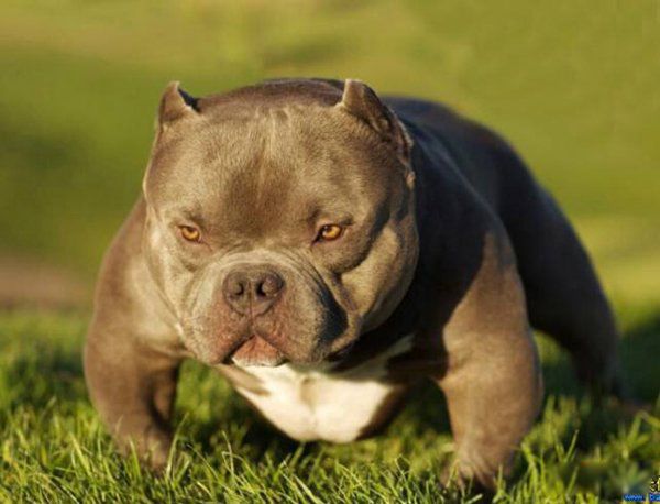 �������Ȯ�ǽ���Ȯ�� �������Ȯ�ײ������̶��