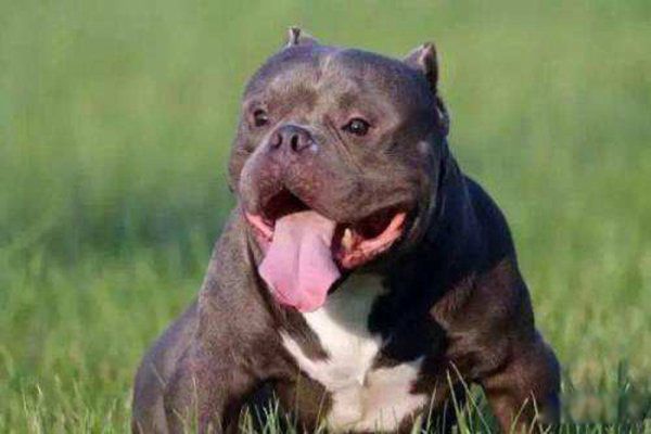 �������Ȯ�ǽ���Ȯ�� �������Ȯ�ײ������̶��