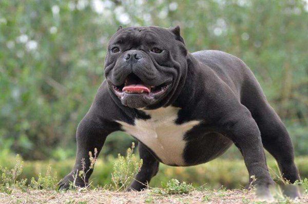 �������Ȯ�ǽ���Ȯ�� �������Ȯ�ײ������̶��