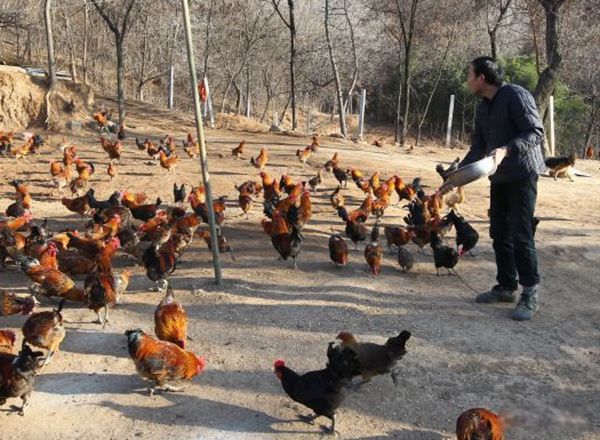 ũ������Щ�����۵��̻� ũ�崴ҵ�ĺ���Ŀ�ɱ���