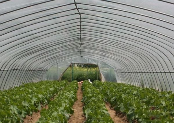 ũ������Щ�����۵��̻� ũ�崴ҵ�ĺ���Ŀ�ɱ���