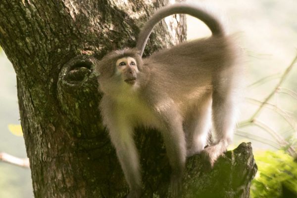 ��ɫ���ֵĺ��ӽ�ʲô ɣ�ܺӰ�ü����ʲô��