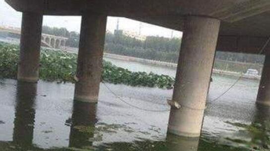 河南挖眼抛尸案件真相 父子间最后的对话是练字