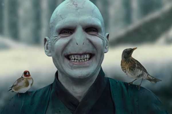 ����ħ�Ļ����ֱ���ʲô ��ķ����¶����ռ��൱����