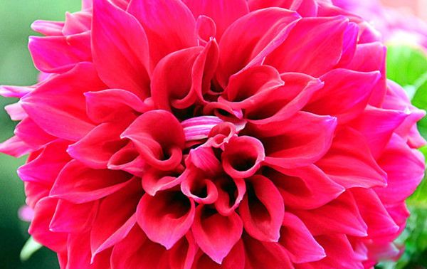 ī��������� ȥī��������ע������