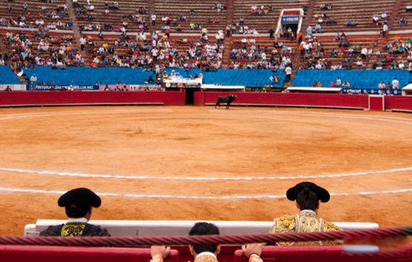 ī��������� ȥī��������ע������