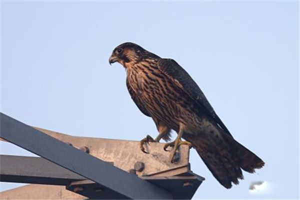 ������ʲô���� �����ǹ��Ҽ�����������