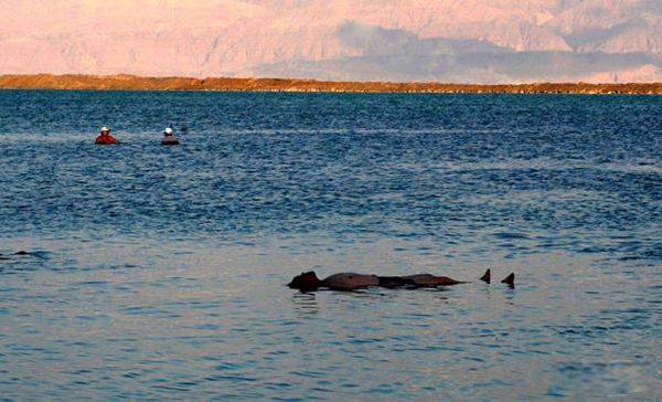 �������������� ����������?Ϊʲô�����˸�����