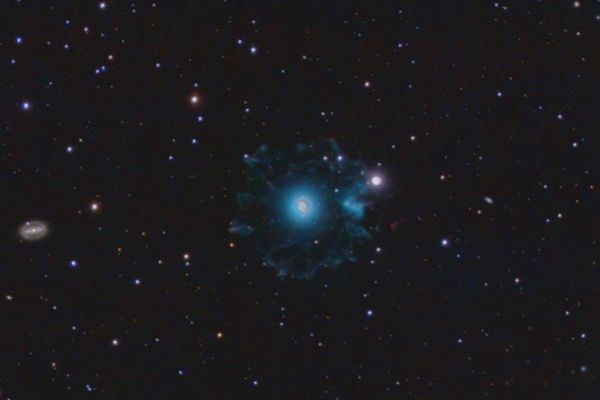 è�����Ƴ�ʲô���� è������������ж�Զ