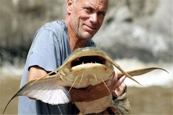 ̹��Ѽ���������������ĵ�ˮ�� ��ʵ����̫������̹��