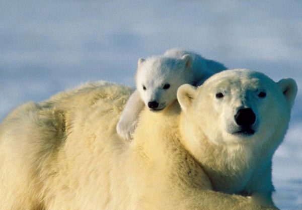 ���������ϼ�� ������½�����Ǻ���