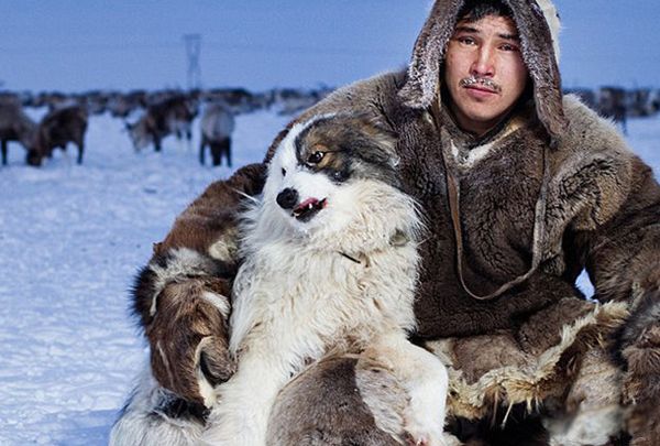 ���������ϼ�� ������½�����Ǻ���