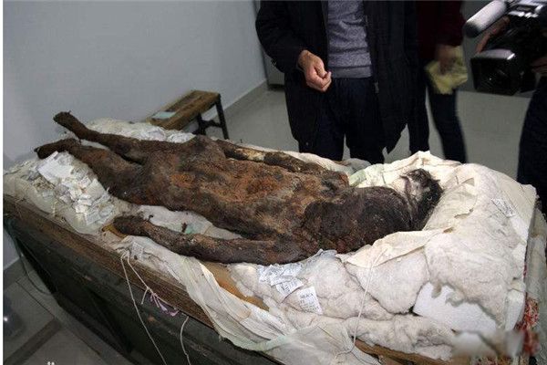 ���֮��˵����ʲô ����Ůʬ��������ʲô