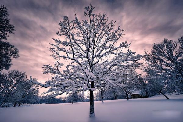 �����ǵڼ�������? ��������Щϰ��