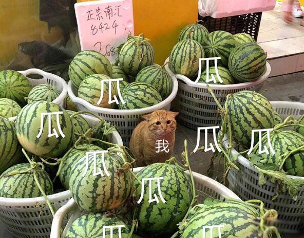 sk5���������Ǽ�Ϊɶ���Ӷ��� ����ҥ�Կ��Է�����������